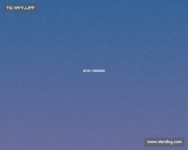 赛事 黄蜂 vS国王—黄蜂对阵